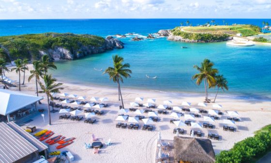 bermuda honeymoon