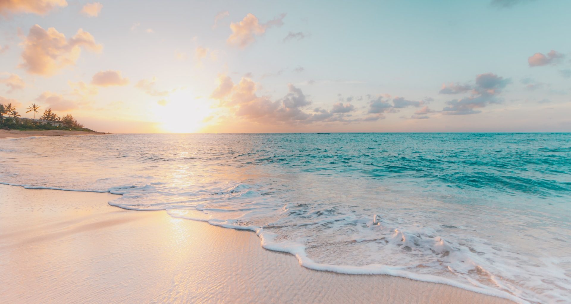 sean o KMn4VEeEPR8 unsplash