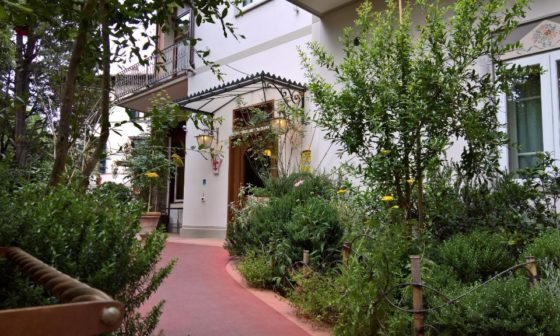 hotel david 2