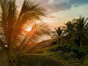 Costa Rica Honeymoon – Top 11 Hotels and Guide for 2023honeymoon destination