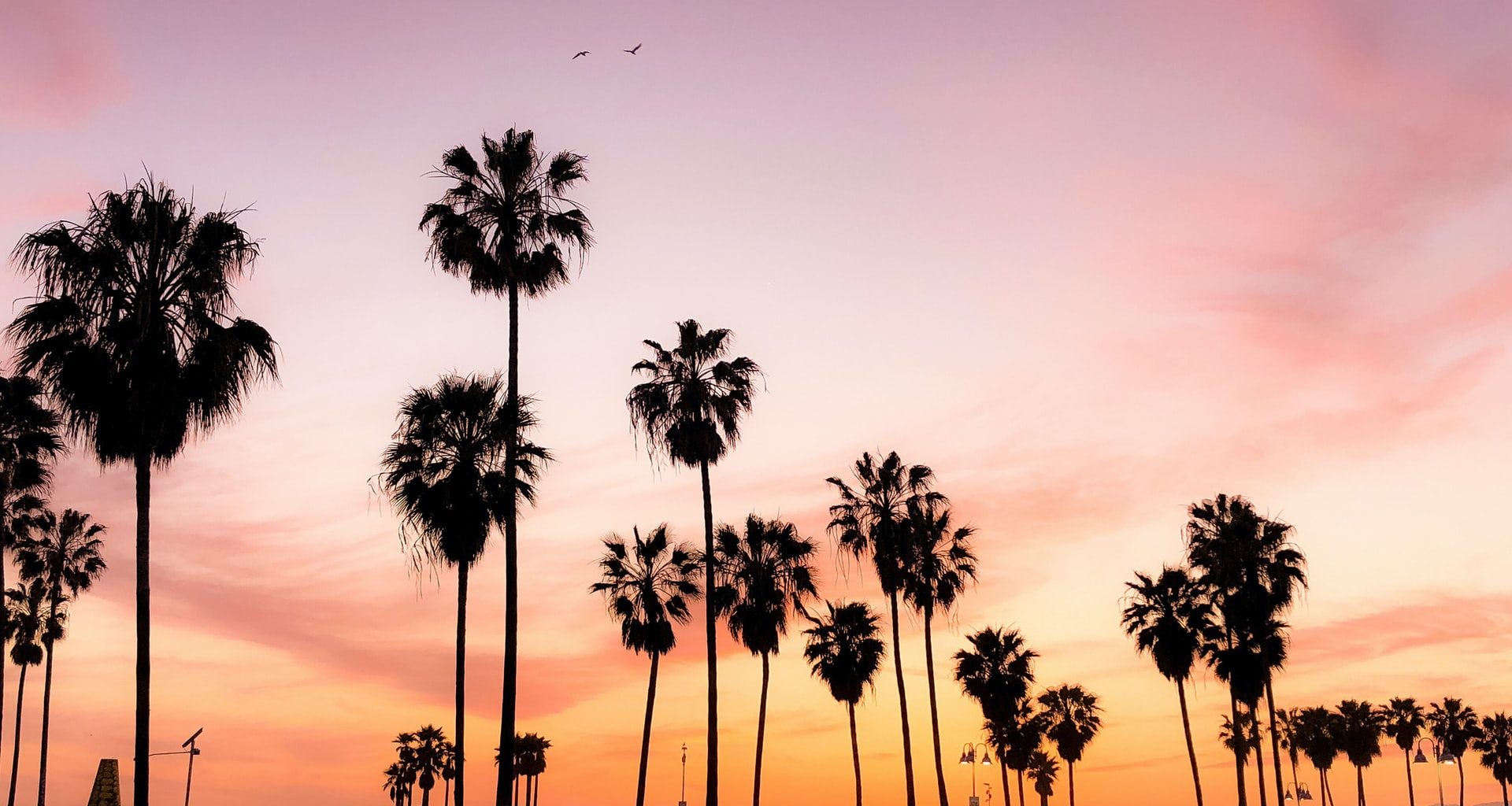 california honeymoon
