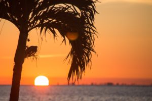 Florida Keys Honeymoon – Everything You Need to Knowhoneymoon destination