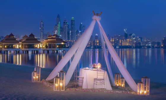The Palm Resort