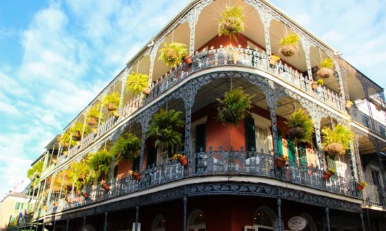 best new orleans honeymoon