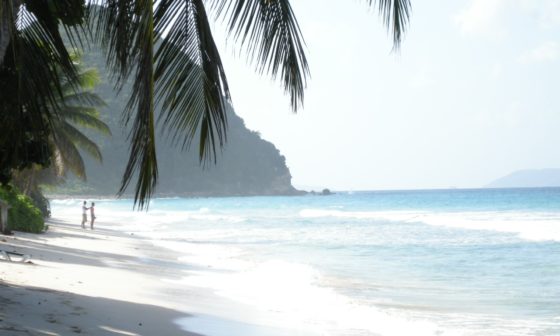 british virgin island bvi honeymoon