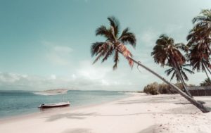 Mozambique Honeymoon – Everything You Need to Knowhoneymoon destination