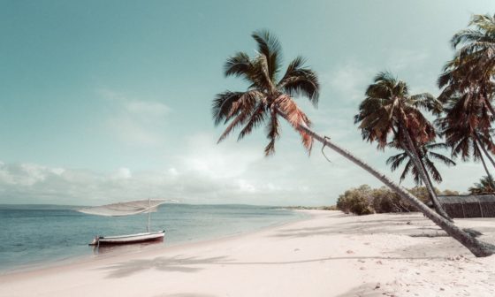 Mozambique honeymoon