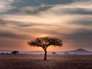 South Africa Honeymoon – Everything You Need to Knowhoneymoon destination