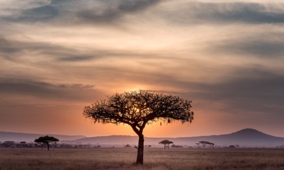 hu chen 60XLoOgwkfA unsplash