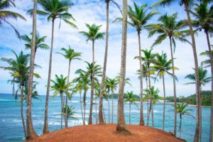 Sri Lanka Honeymoon – Everything You Need To Knowhoneymoon destination