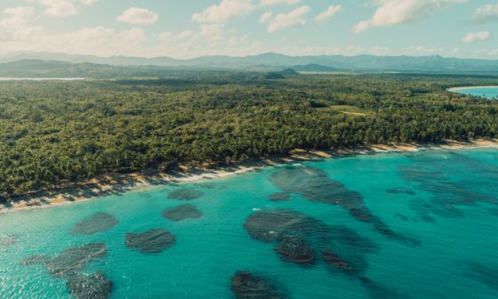 asael pena gNRnSIiwkC0 unsplash
