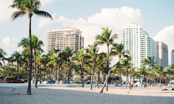 miami honeymoon