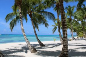 Punta Cana Honeymoon – Top 6 Resorts & Guide for 2023honeymoon destination
