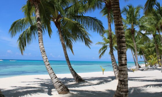 punta cana honeymoon