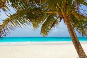 19 Best Resorts for a Caribbean Honeymoon (2023)honeymoon destination