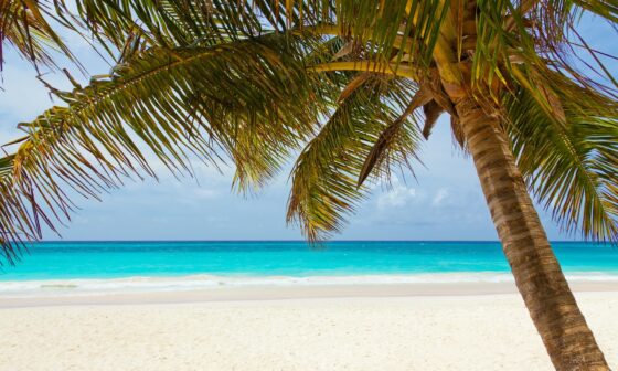 caribbean honeymoon