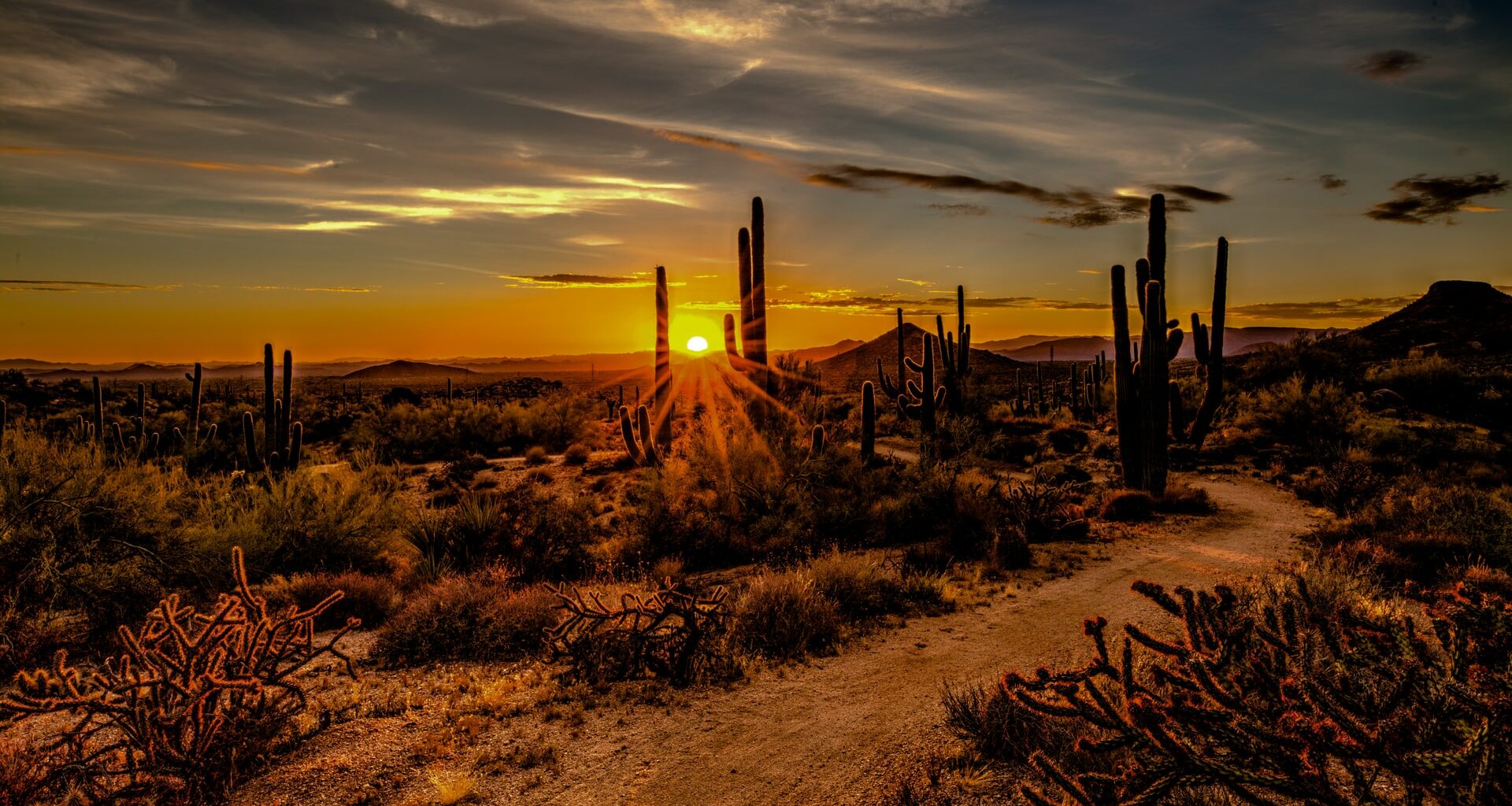 arizona honeymoon