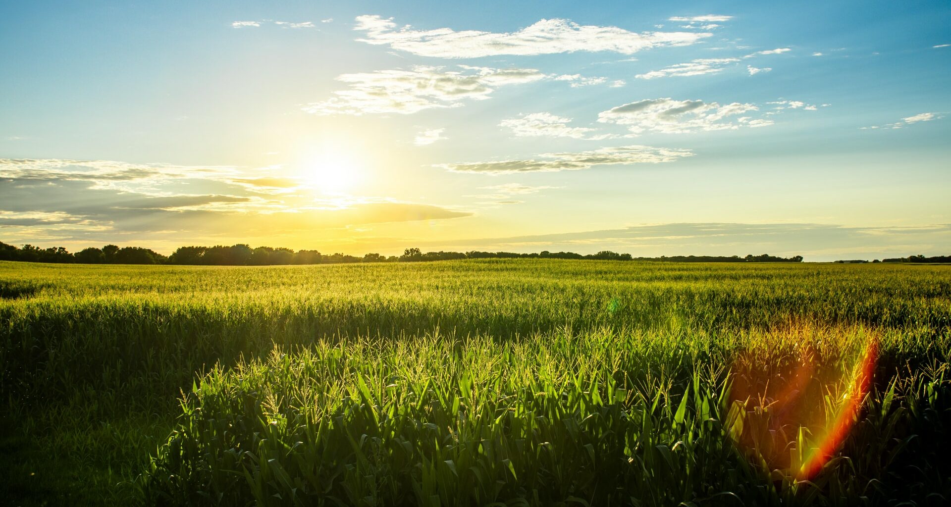 iowa honeymoon