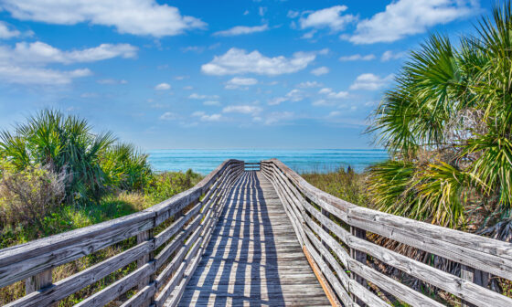 Honeymoon Island Florida