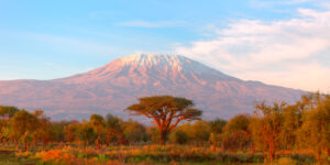 Tanzania Honeymoon Packages – Review & Guide for 2023honeymoon destination