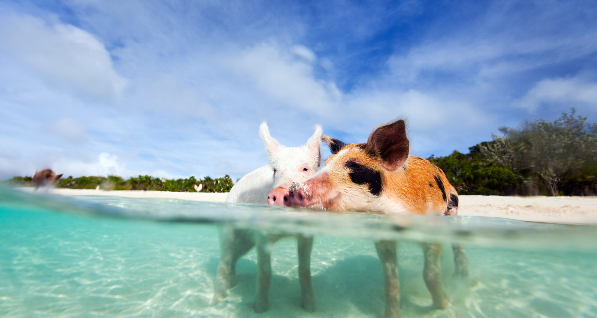iStock 477144973 scaled