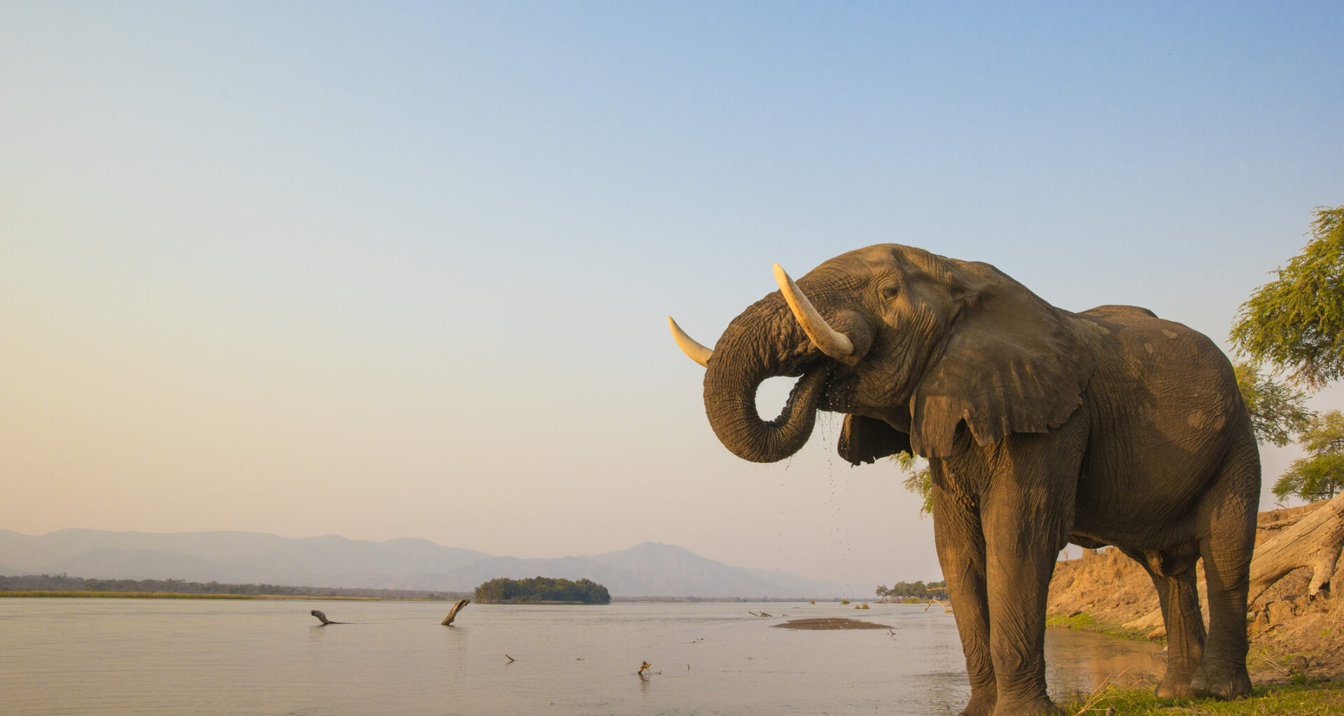 zambia honeymoon