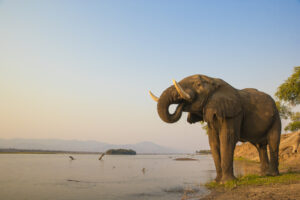 Zambia Honeymoon Packages – Review & Guide for 2023honeymoon destination