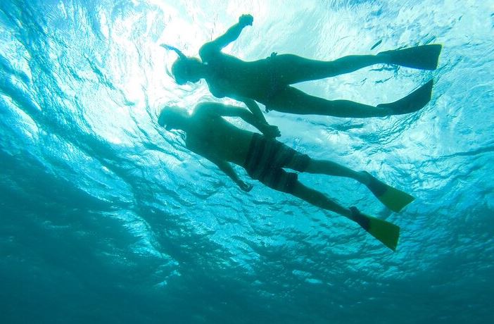 5. snorkel