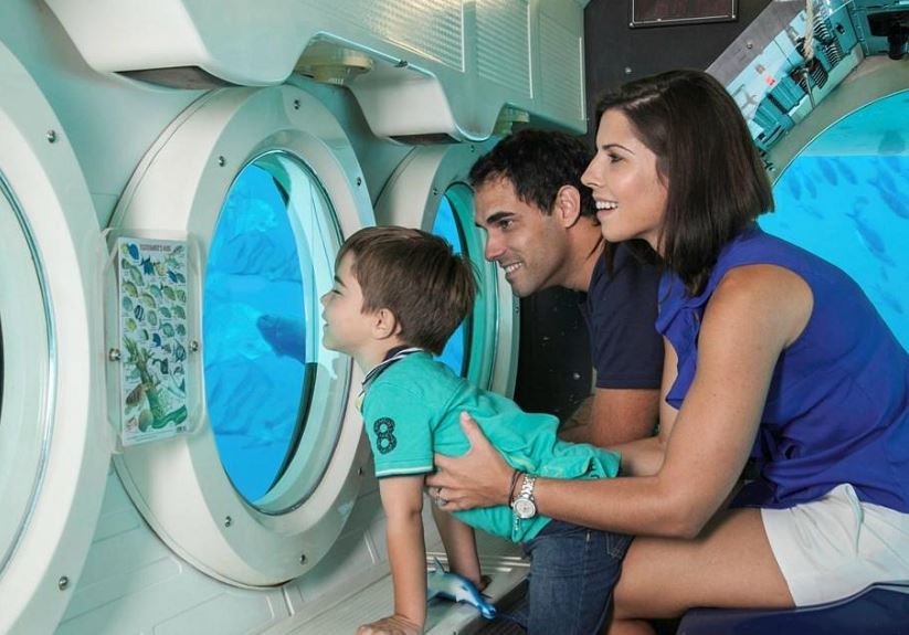 7. take a submarine tour