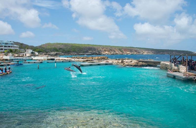 Visit the sea aquarium