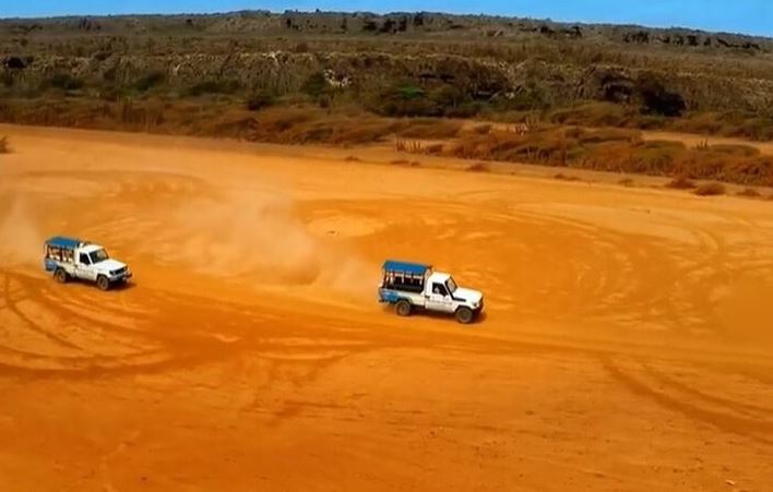 take a jeep safari