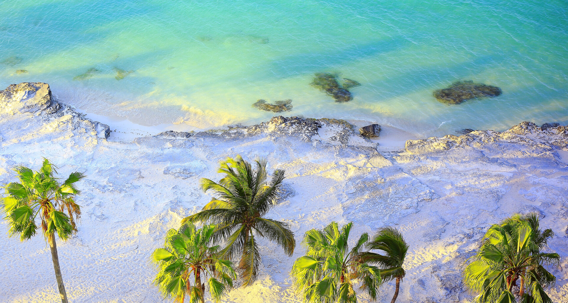 Tropical paradise sunset: Aerial Sunny Sandy caribbean palm trees beach