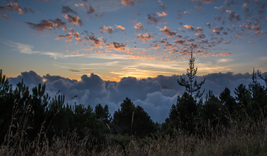 camping in maui